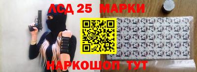 стаф Новокубанск