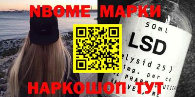 стаф Новокубанск