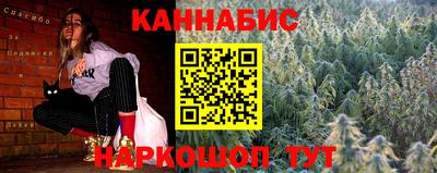 индика Новодвинск