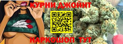 индика Новодвинск