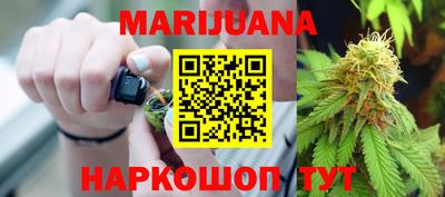 индика Новодвинск
