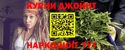 индика Новодвинск