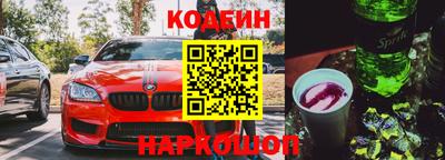 индика Новодвинск